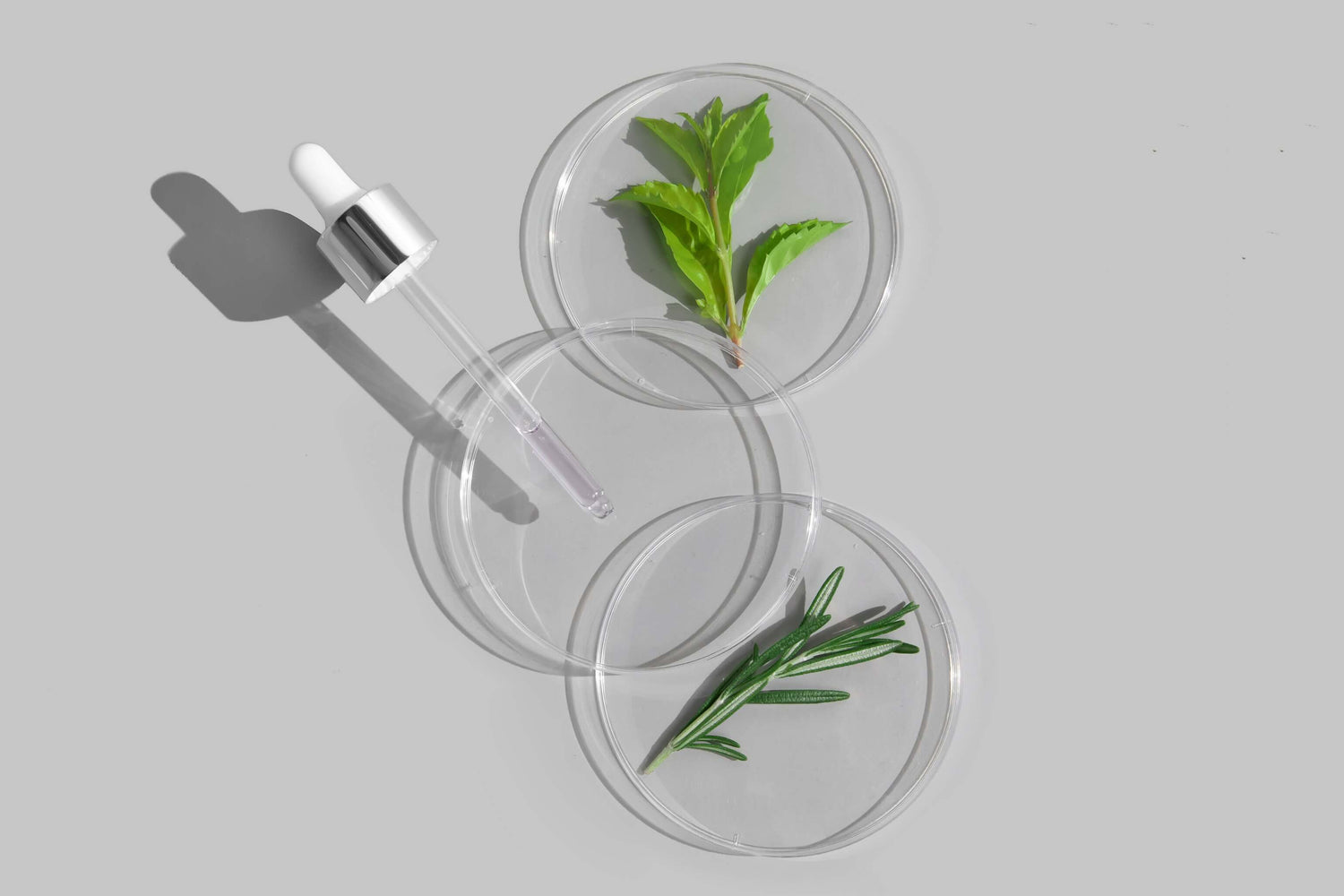 COSMEDIX-BACCUCHHIOL-SERUM-RETINOL-ALTERNATIVE-VEGAN